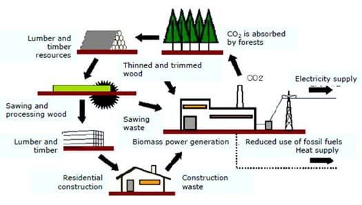 File:Biomass-cycle.jpg
