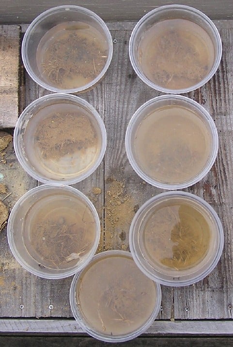 File:Water Soak Test 2 (figure 11a).jpg