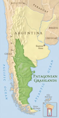 File:Patagonian Grasslands Region.jpg