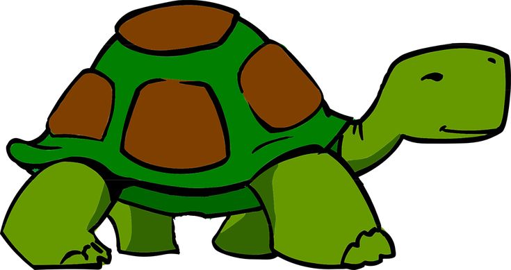 File:Mr. Turtle.jpg