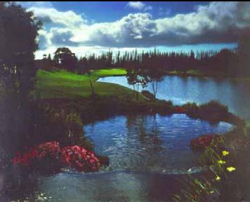 File:Koele golf course pond.JPG