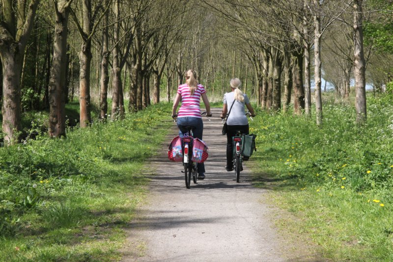 File:Cycling mother and daughter in a forest.JPG