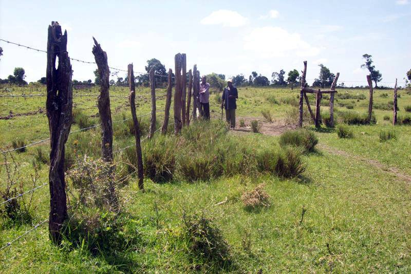 File:New field for farming Fencing.jpg