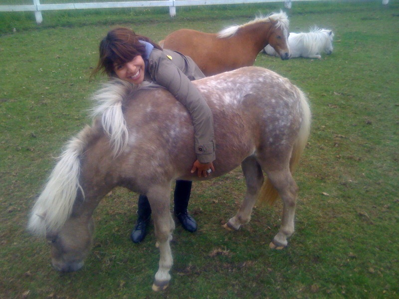 File:I Love Ponies.jpg