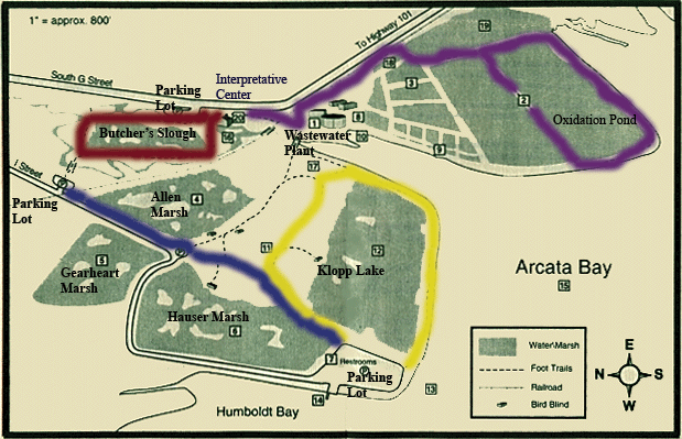 File:Arcata map2.gif
