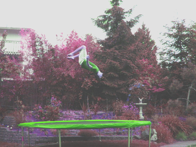 File:Mitch backflip with color.JPG