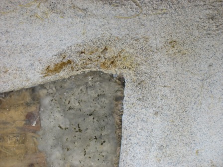 File:CCAT natural Plaster; A rough spot that needed fixing before finish.jpg