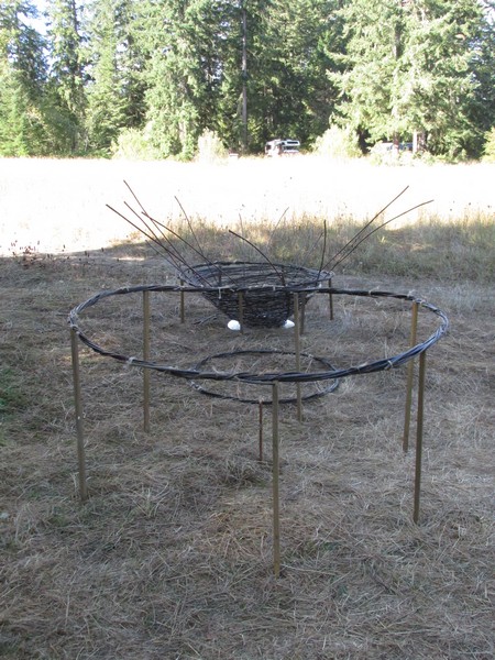 File:Weaving A Parabolic Willow Basdket - 5 ft Diameter Hoop.jpeg