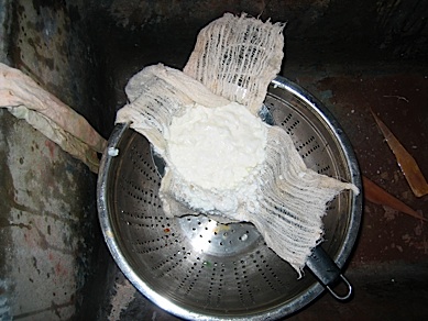 File:NP52.jpg