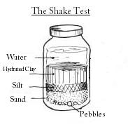 The Shake Test.jpg