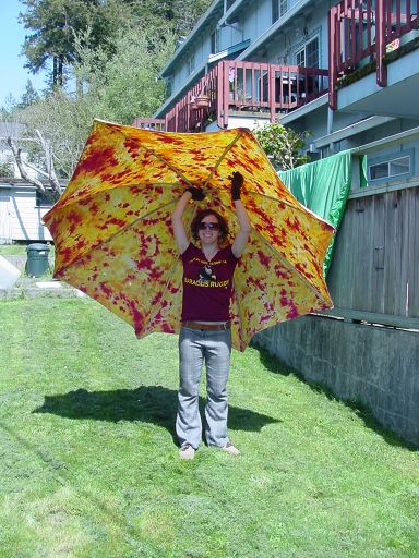 File:Umbrella solar cook bamboo n cloth.jpg