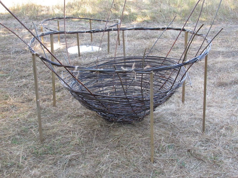 File:Weaving A Parabolic Willow Basket - 5 ft Diameter Hoop and Basket.jpeg