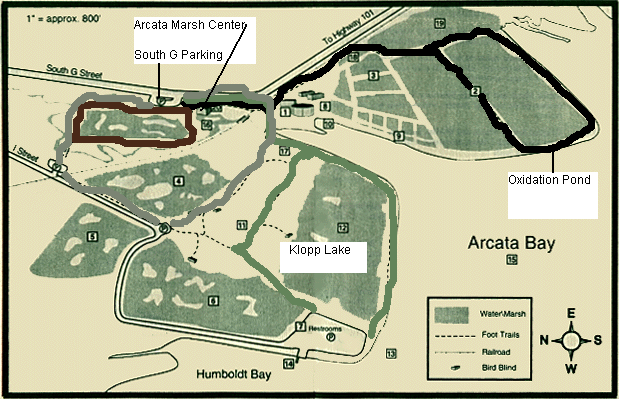 File:Arcata map.gif