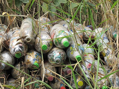 File:Ecoladrillo Bottles grass.jpg