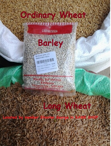 File:LongWheat.Barley.CommonWheat.jpg