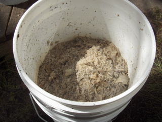 File:Ethanol production beet pulp.jpg