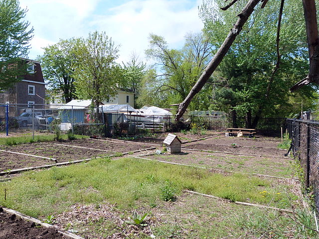 File:Janes Community Garden - Providence Rhode Island.jpg