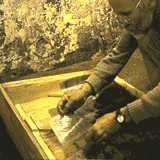 File:BT 34C OilPaperContinue160.gif