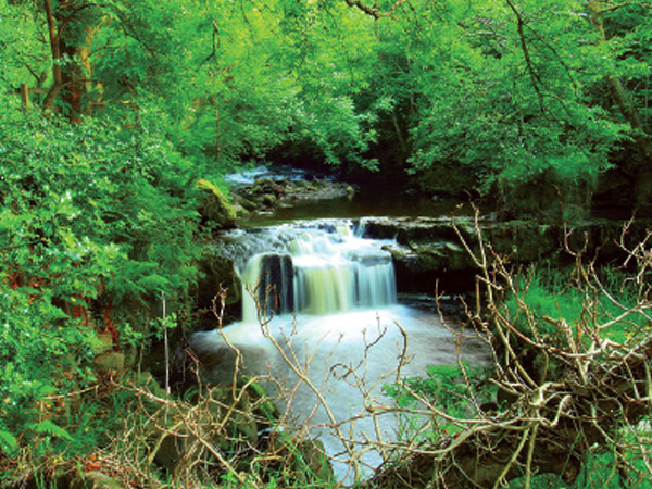 File:Waterfall on Glenaiff River-Country Leitrim.jpg