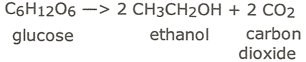 File:Ethanol-formula.jpg