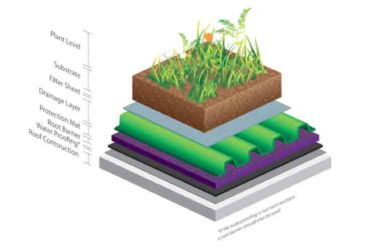 Diagram of layers for a grass roof