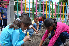 File:School 14.jpg