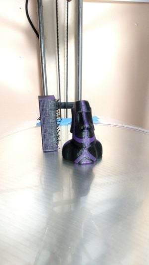 Dual extrusion print with the prime tower