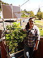 Deidre's vertical vegetable garden Solar powered vertical vegetable garden