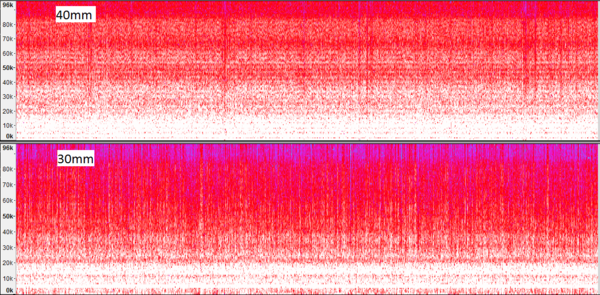 Sifflet de loup spectral1.png
