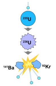 A diagram of a uranium-235 fission reaction. The fission results in two separate atoms, barium-141 and krypton-92, as well as releases 2-3 neutrons and beta radiation.