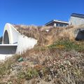 훔볼트 해안 자연 센터의 살아있는 녹색 지붕.
