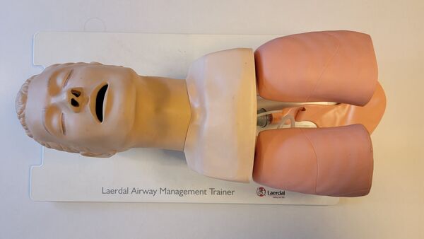 Airway manikin with chest cover removed
