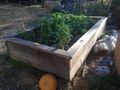 Fig 3a: Humboldt State CCAT Raised Beds #1 and #2