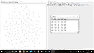 ImageJ Instructions Results.png