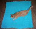 Crocheted throw for baby or pet