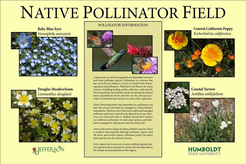 File:Pollinator 36x24RD Free2.pdf