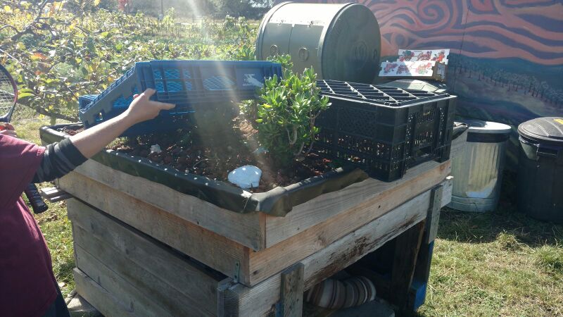 File:IMG Living roof produce crate.jpg