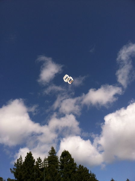 File:IMG Bag It Up Box Kite flying.jpg