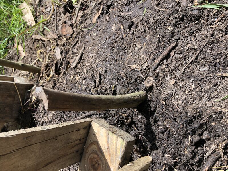 File:Sticks in compost sarajune.JPG