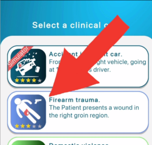 Crashsavers App - Second case Selection cropped.png