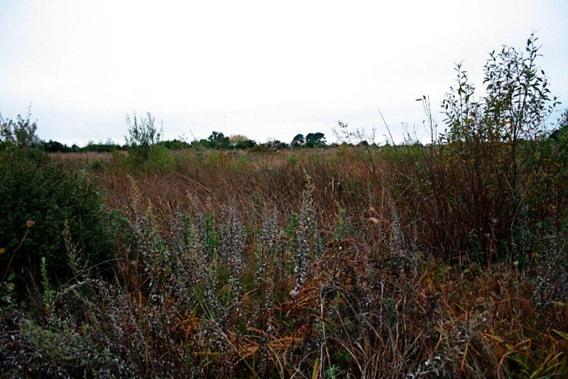 File:Potawot plantingmethod meadow.jpg