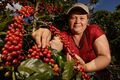 Daisy del Carmen Reyes muestra una de las plantas de su cultivo de café llena de granos. Como participantes del programa Cosecha Azul, ha implementado mejores prácticas de agricultura que le permiten lograr una mejor producción, protegiendo el medio ambiente.