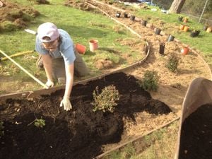 Figure-27: Applying a layer of compost.