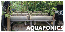 Acquaponica-homepage.png