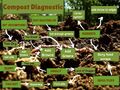 Here is a graphic to help troubleshoot composting issues.