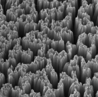 Nanostructured Silicon for Solar Energy Conversion Applications