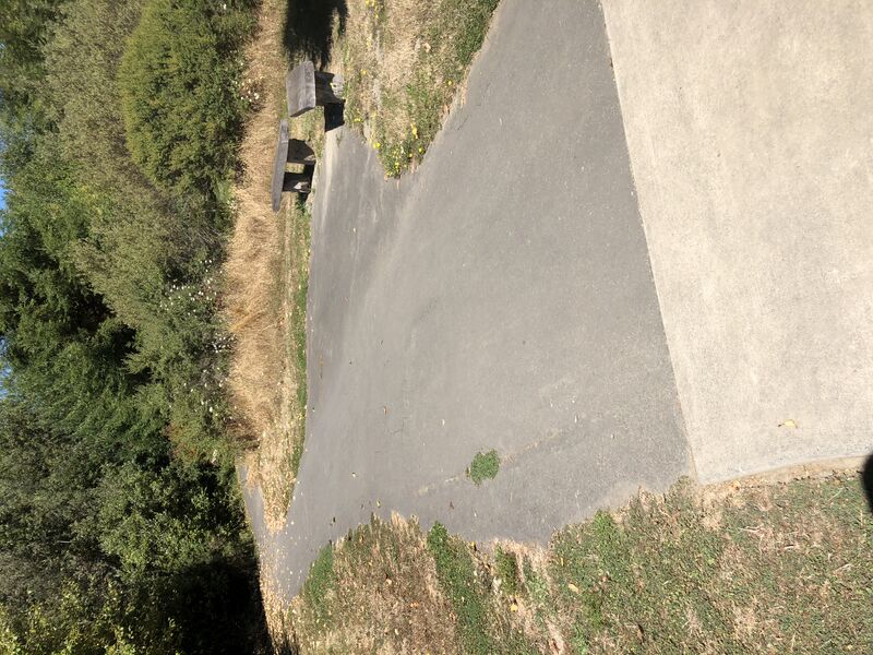 File:Pine Resin (New pavement pic 1).jpeg
