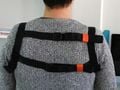 New harness from back.