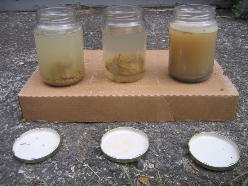 File:Jars soil water.jpg