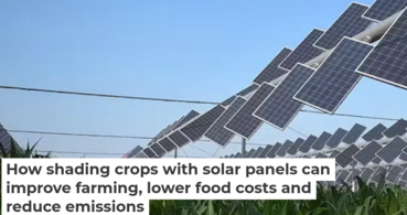 使用太阳能电池板为农作物遮阳如何改善农业、降低食品成本并减少排放